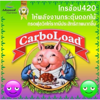 #An #Advancednutrient #carboload #ช่วยเพิ่มผลผลิต​ #เพิ่มพลังงานให้ต้นไม้