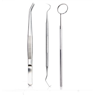 set Dental Hygiene Tool Shape Tartar Scaler Dental Equipment Calculus Plaque Remover Teeth Cleaning Oral Care