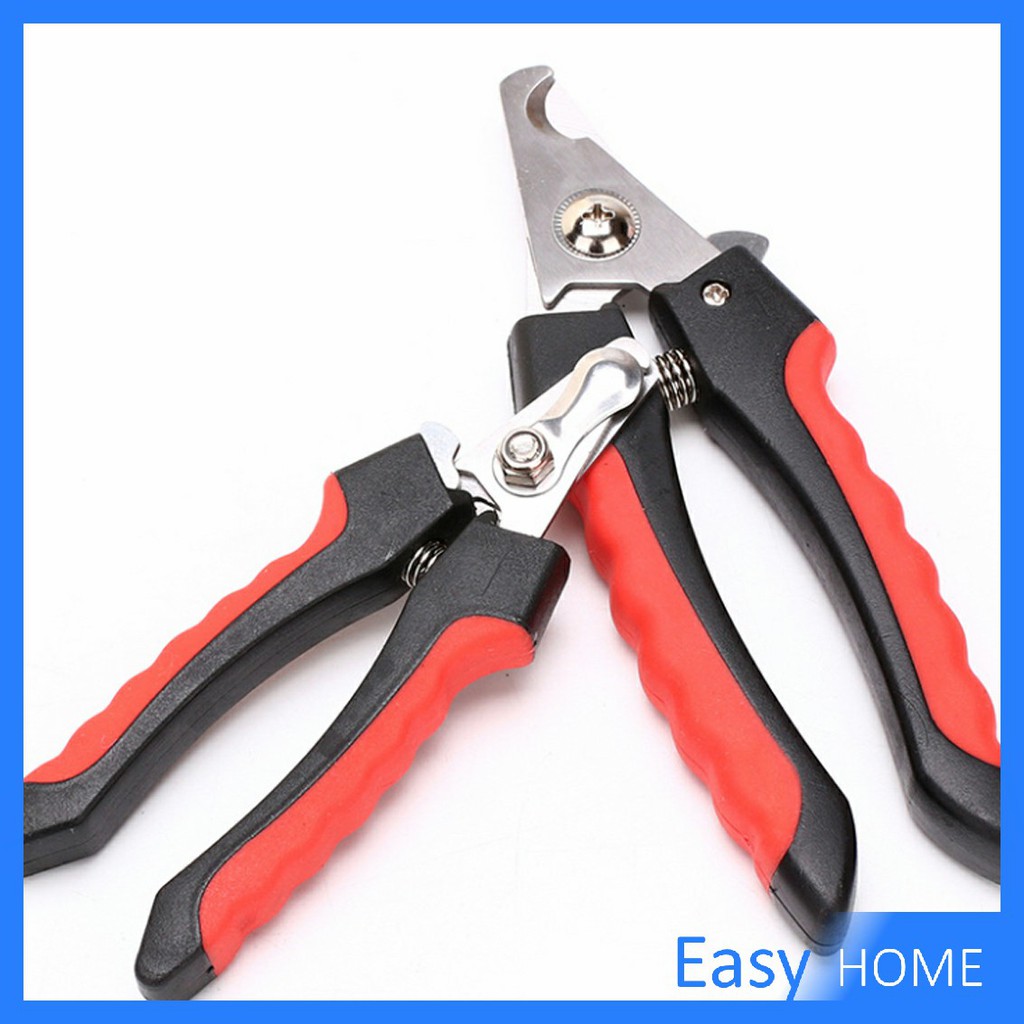 รูปภาพ 3