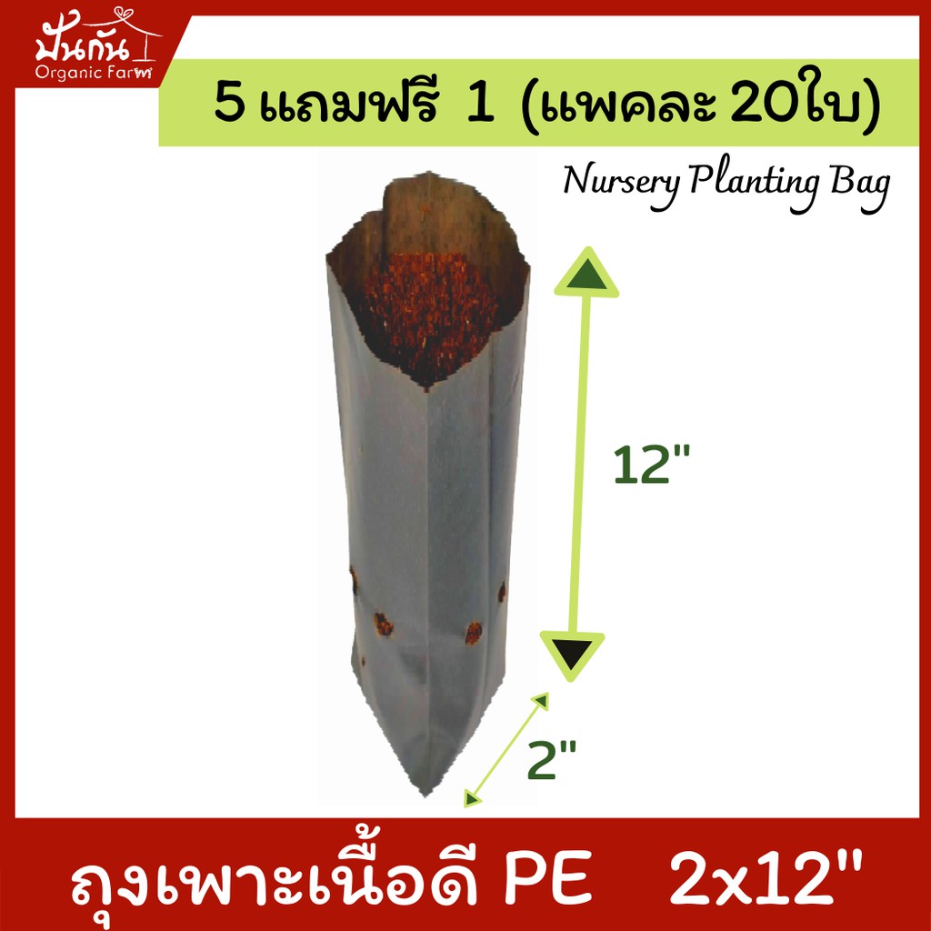 [5แถมฟรี1] ถุงปลูกต้นไม้ 2x12” ถุงเพาะชำ สีดำ เนื้อPE เหนียวเจาะรู แพคละ20ใบ [สั่ง5แพคแถมอีก1แพค] [Nursery Planting Bag]