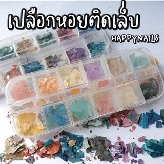 เปลือกหอยติดเล็บ 12 สี