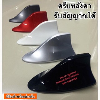 ครีบฉลาม ครีบหลังคา รับสัญญาณได้