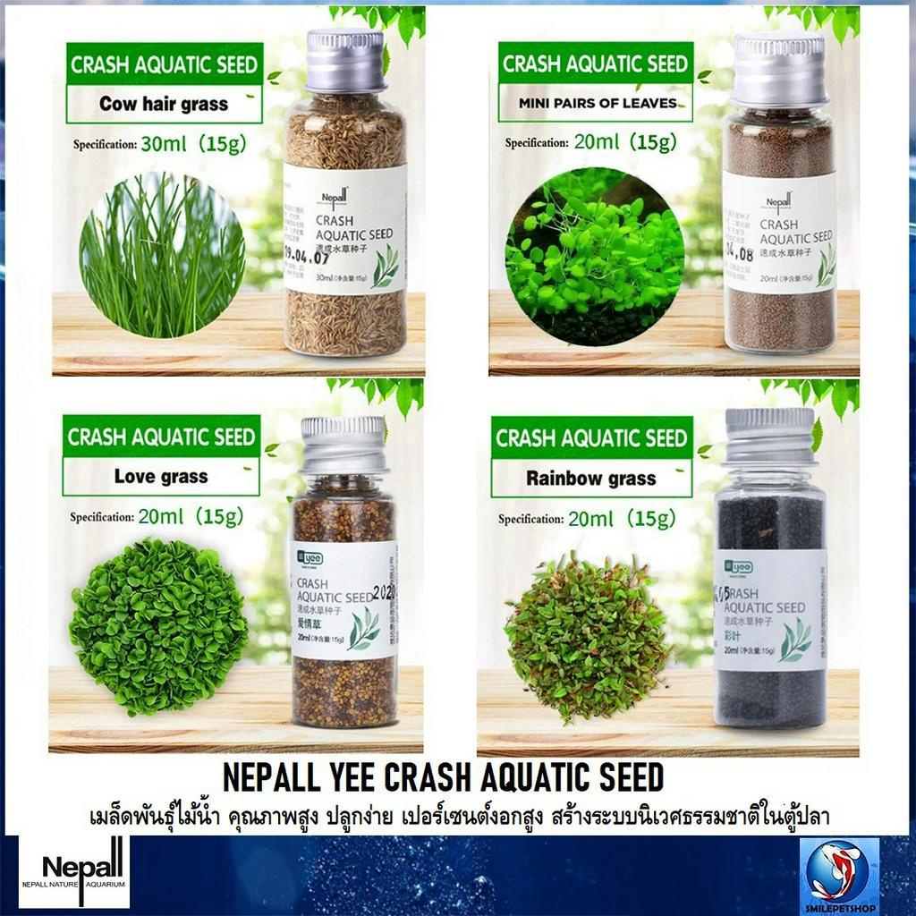 NEPALL,YEE CRASH AQUATIC SEED(เมล็ดพันธุ์ไม้น้ำ คุณภาพสูง ปลูกง่าย เปอร์เซนต์งอกสูง สร้างระบบนิเวศธร