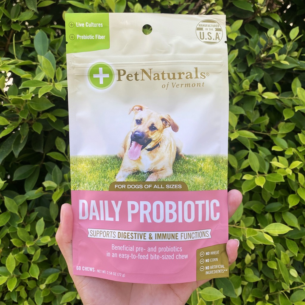 broad spectrum probiotic for dogs