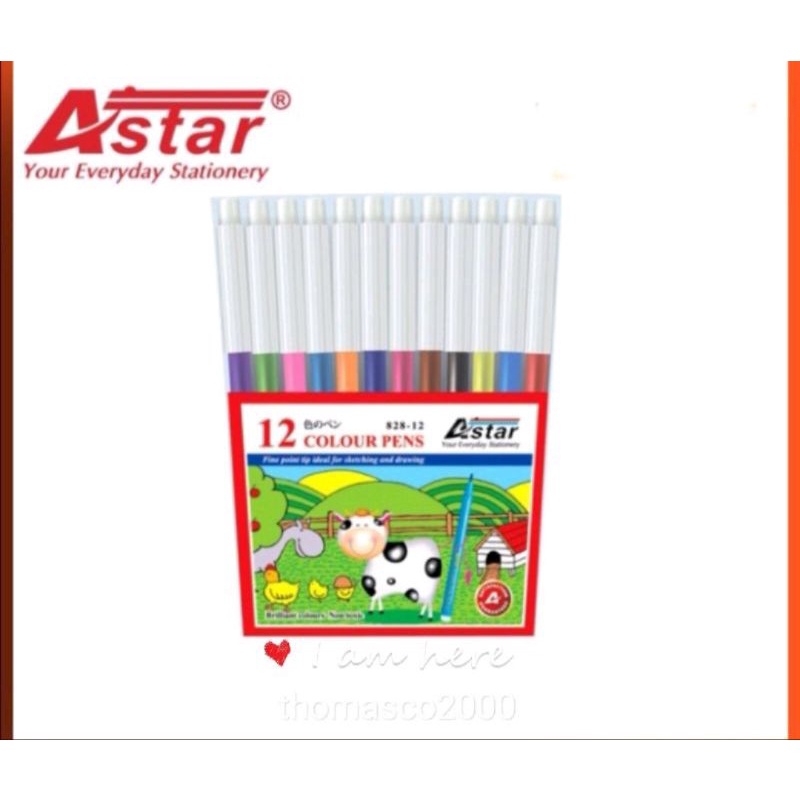 ASTAR NO: 828-12 COLOUR MAGIC PEN