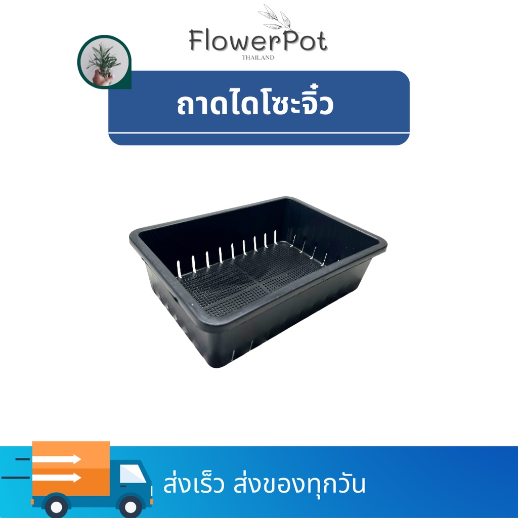 (1ใบ ,5ใบ) ถาดไดโซะ (ถาดจิ๋วมีรู S) เพาะต้นอ่อน ใส่กระถางแคคตัส กระบองเพชร