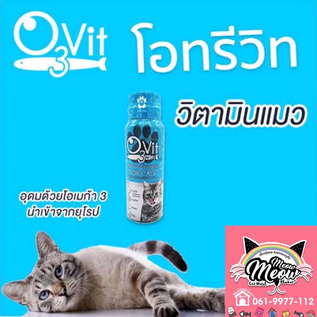 ถูกสุด O3vit for cat วิตามิน บำรุงขนแมว ลดขนร่วง เพิ่มน้ำหนัก กินง่าย เน้นขนสวย แข็ง ov3 vit อาหารเส