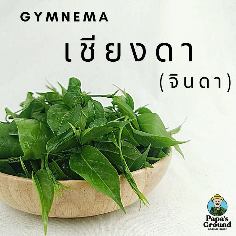 ผักสด เชียงดา ผักจินดา ผักปลอดสาร ไร้สารพิษ gymnema organic fresh veggies vegetables