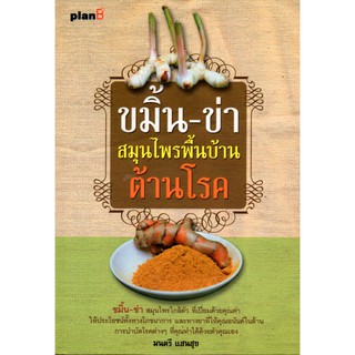 ขมิ้น-ข่า สมุนไพรพื้นบ้านต้านโรค (99)