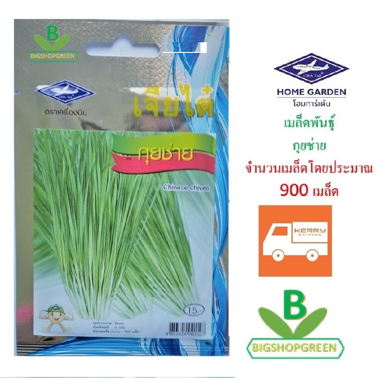 5 ฟรี 1 คละได้ เมล็ดพันธุ์ กุยช่าย ตรา เจียไต๋ เมล็ดพันธุ์ผัก เมลัดผัก เมล็ดพืช เมล็ดพันธุ์พืข เมล็ดผักสวนครัว