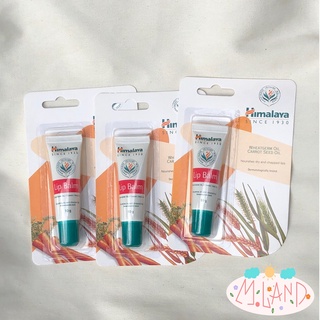 [ฉลากไทย] Himalaya Lip Balm 10 g / หิมาลายา ลิปบาล์ม