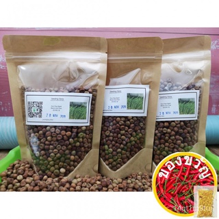 Dun Pea Seed | Pea Shoot Seed | Pea Sprout Seed | Microgreen |【สีถั่ว】|【ถั่วเมล็ด】裙子/园艺/生菜/木瓜/男装/上衣/芹菜/手链/向日葵/头饰/ DZI0