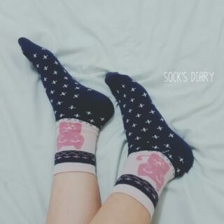 Socksdiary Cat Cat