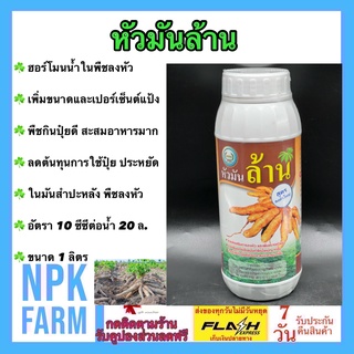 หัวมันล้าน ขนาด 1 ลิตร หวีทอง ฮอร์โมนน้ำ ลงหัว เพิ่มขนาด เปอร์เซ็นต์แป้ง เพิ่มปริมาณผลผลิต มันสำปะหลัง เผือก มันแกว พริก