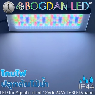 LED Aquatic plant 12V 5A 60W แอลอีดีโคมไฟสำหรับปลูกต้นไม้น้ำมีชุดติดตั้งแบบตั้งและแบบแขวน พร้อมเพาเวอร์ซัพพลาย 100W IP44