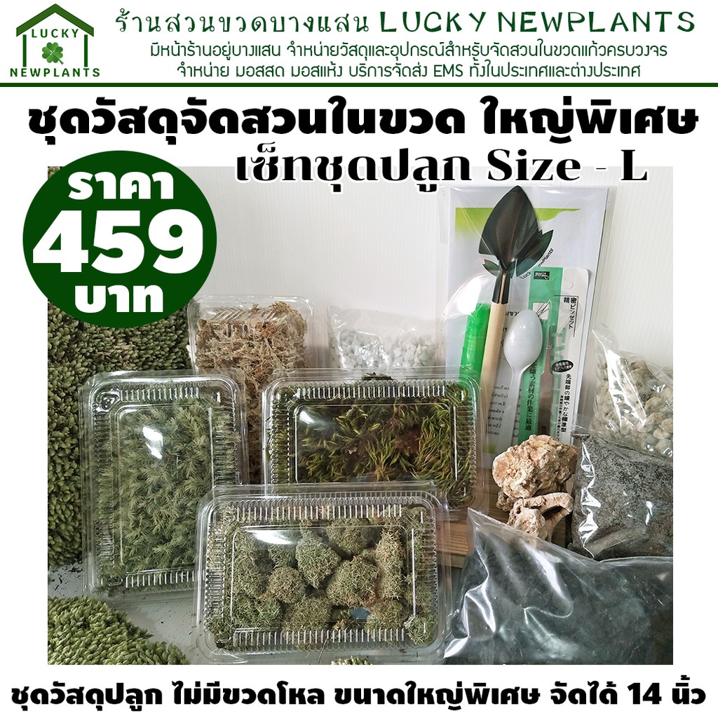 ชุดจัดสวนในขวดแก้ว ขนาดใหญ่พิเศษ จัดได้ 12-14 ตารางนิ้ว ราคา ถูกที่สุด ดีลบีเคเค แกลเลอรีภาพที่ 5