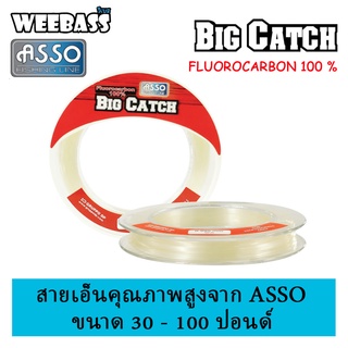 สายเอ็น สายตกปลา ASSO สายเอ็น - รุ่น BIG CATCH FLUORO 50YDS