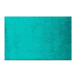 พรมเช็ดเท้า พรม PRAW ENTRANCE 50x75 ซม. สีเขียว/TEAL พรมในบ้าน พร้อมส่ง