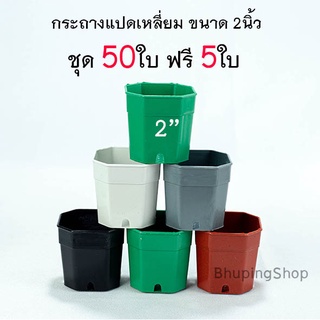 กระถางแปดเหลี่ยมตัดมุม กระถางแคคตัส ขนาด 2 นิ้ว  (ชุด 50 ใบ ฟรี 5ใบ )  กระถางพลาสติกเกรด A หนา ทนทาน สีสันสวยงาม