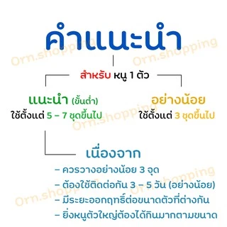 เหยื่อกำจัดหนู ตายแห้ง เส็ด-อาร์ ตายไม่มีกลิ่น (ชุดละ 4 ซอง) ยาฆ่าหนู ไม่ต้องผสมอาหาร