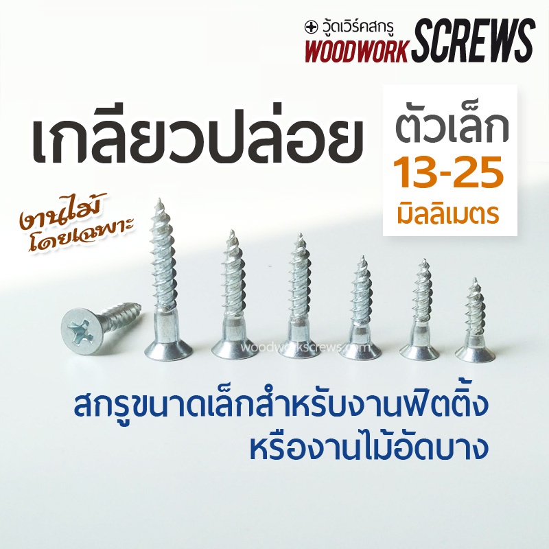 สกรู 13-25มม. งานไม้อัดบาง ฟิตติ้ง เกลียวหยาบห่าง ท้ายเรียบอ้วน ตะปูเกลียวปล่อยงานไม้ เฟอร์นิเจอร์ DIY 100 ตัว