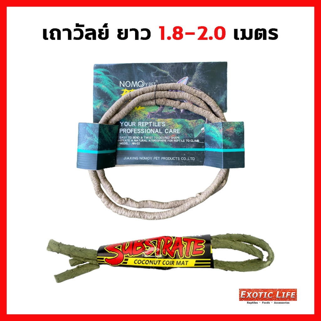 เถาวัลย์ กิ่งไม้ ไม้เลื้อย สามารถดัดได้ตามต้องการ สีน้ำตาลความยาว 1.8 เมตร สีเขียวยาว 2 เมตร