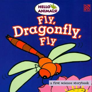 หนังสือภาษาอังกฤษเด็ก Hello Animals! Fly, Dragon, Fly นิทานเด็ก Pelangithai