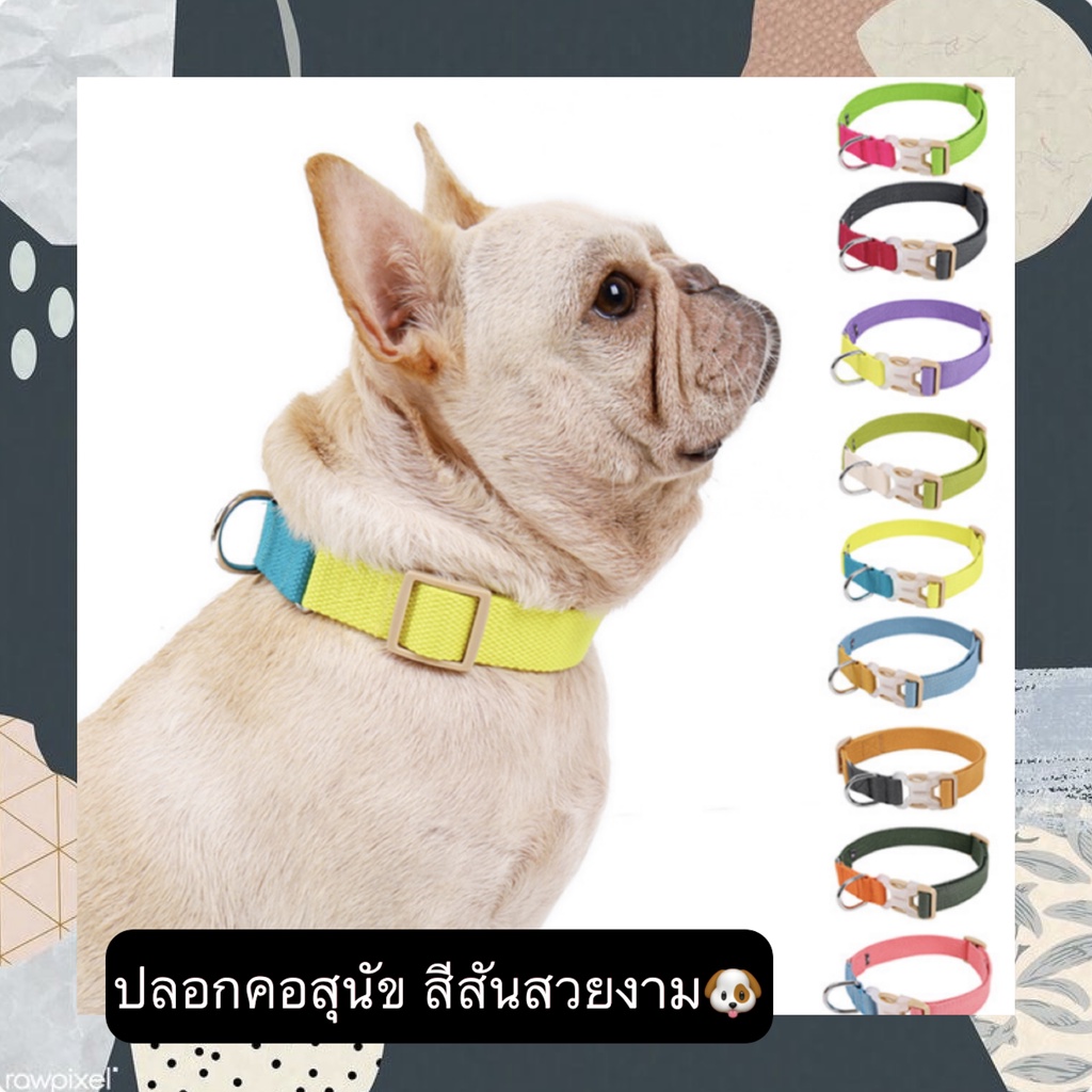PP-268 ปลอกคอสำหรับสุนัขและแมว สีพาสเทลน่ารัก พร้อมสายจูงคุณภาพดี ราคาประหยัด พร้อมส่งทันที 😜😍