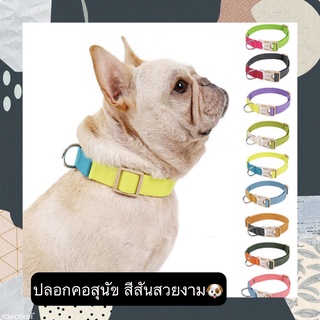 PP-268 ปลอกคอสำหรับสุนัขและแมว สีพาสเทลน่ารัก พร้อมสายจูงคุณ…