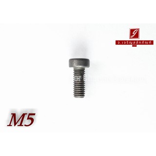 น็อตหัวจมหัวเตี้ยพิเศษ M5x12