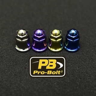 Pro-Bolt ไทเทเนี่ยม หัวโดม M8,M10