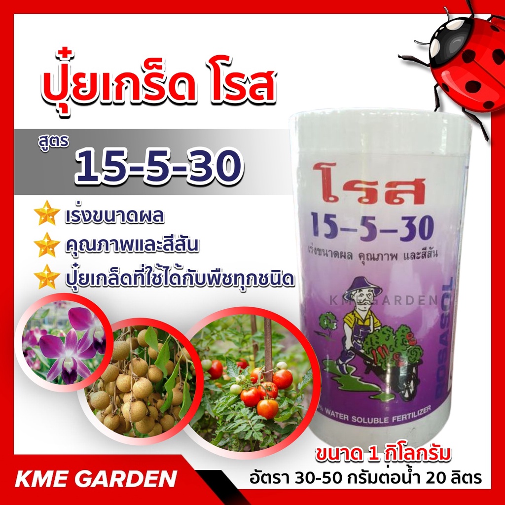 🪴ปุ๋ยเกล็ด🪴 โรส 15-5-30 สูตรเร่งขนาด ผล คุณภาพและสีสัน ขนาด 1 กิโลกรัม สูตรนี้จะช่วยเร่งการเจริญเติบ