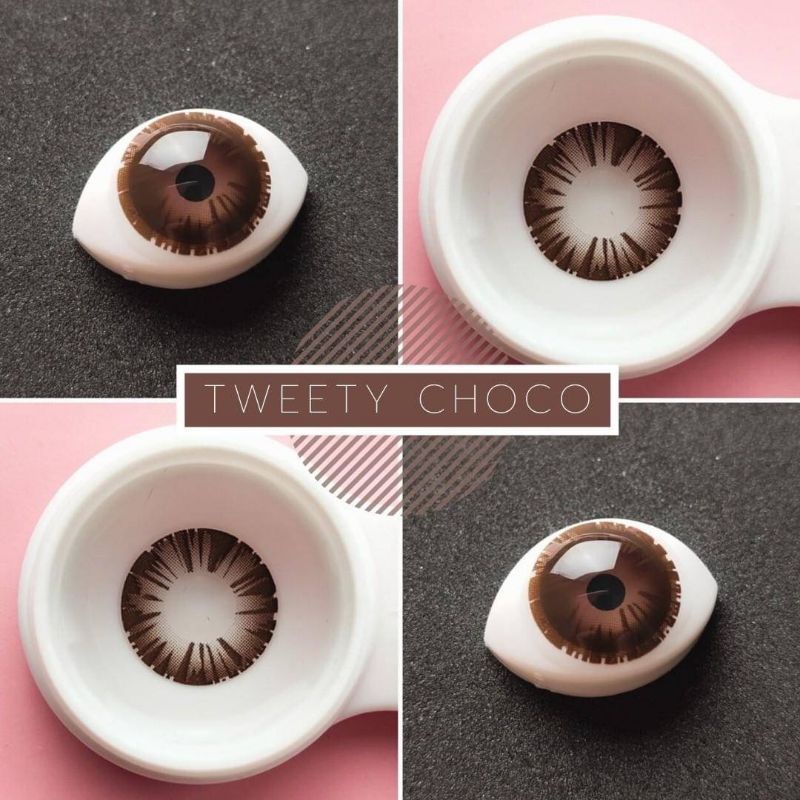 💜 TWEETY Choco Brown บิ๊กอาย สีช็อคโก้ สีน้ำตาล แบ๊ว ตาโต Dream Color1 Contact Lens Bigeyes คอนแทคเลนส์