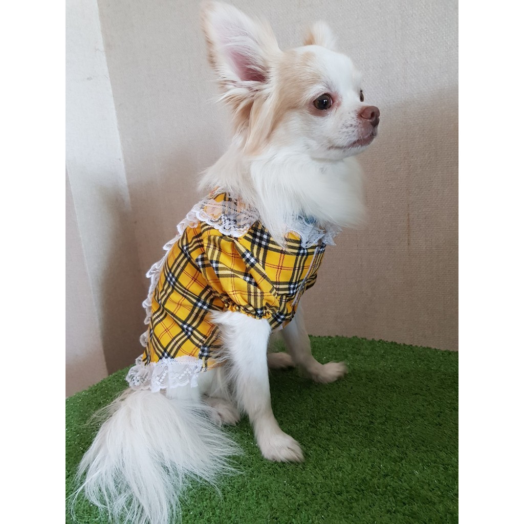 แพทเทิร์น ชุดหมา ชุดแมว สำหรับตัดเย็บ DIY ( ขายวิธีสอนการเย็บเสื้อน้องหมาแมวด้วยนะคะ ) - รูปที่ 3