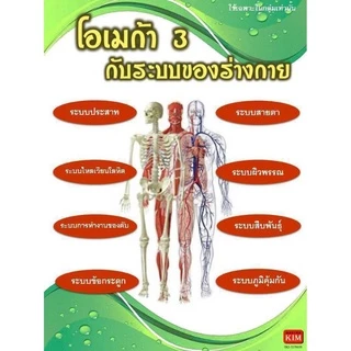 น้ํามันดาวอินคาสกัดเย็น ของแท้ 100% จากบจ.นิเคโอะ สมุนไพรออแกนิกแท้จากเปรู R9 ดาวอินคา โอเมก้าออย์ อินคาออยล์