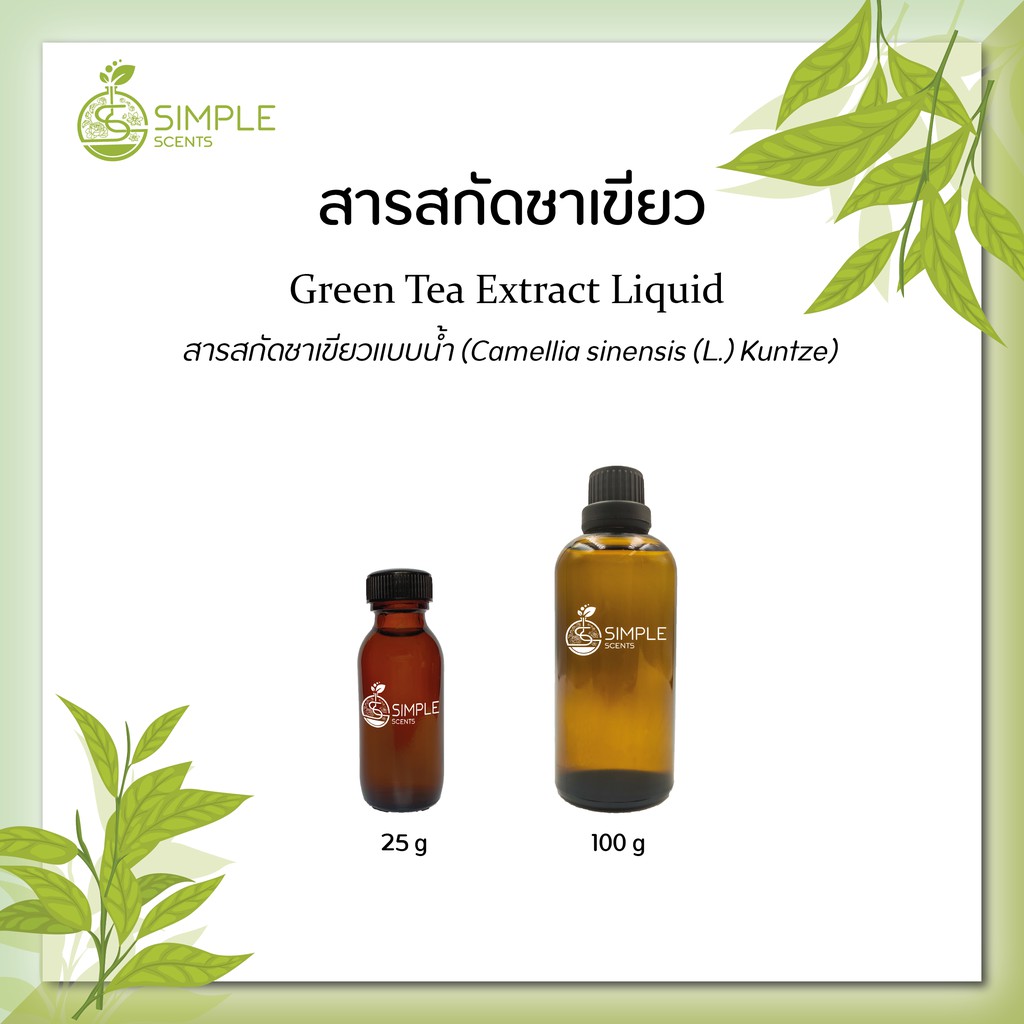 สารสกัดชาเขียว ( Green Tea Extract Liquid ) 25 g & 100 g Shopee Thailand