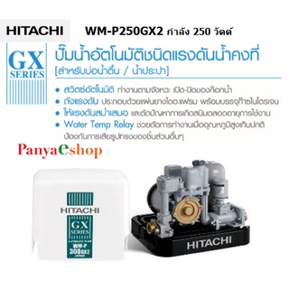 HITACHI ปั๊ม รุ่น WM-P250GX2 แบบแรงดันคงที่ 250 วัตต์