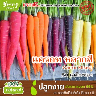 เมล็ดแครอทแฟนซี 50เมล็ด อัตราการงอก95% (แถมฟรี!!! เมล็ดผักกวางตุ้ง500 เม็ด)