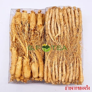 โสม 人参 โสมจีนแห้ง โสมภูเขาฉางชา ขนาด 200g-500g กลิ่นหอมชัดเจน