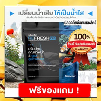 จุลินทรีย์น้ำใสบ่อปลา ตู้ปลา REFRESH PRO ปรับปรุงคุณภาพน้ำ & ดูแลสุขภาพปลา 250 กรัม แท้ 💯