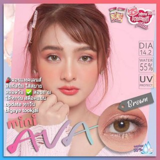 💖 Kitty kawaii ๑ Mini Ava เลนส์ไม่มีขอบ สินค้ามึข้างในขวด สายตา -00 ถึง -1000 brown gray Contactlens บิ๊กอาย คอนแทคเลนส์