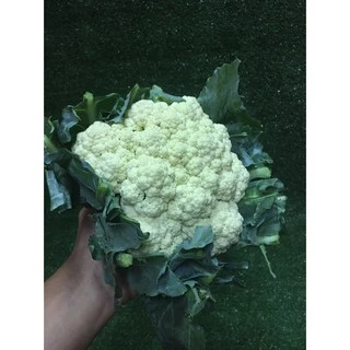 ดอกกะหล่ำสด 1หัว (300-400กรัม)🥦 - ดอกกระหล่ำ ผักผลไม้สด ผักสลัด