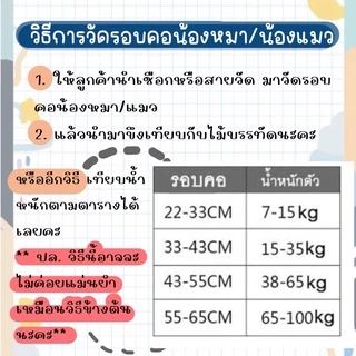 สร้อยคอหมา สร้อยคอแมว ปลอกคอสุนัข โซ่คอ ปลอกคอหมา (เส้นแบนทอง)