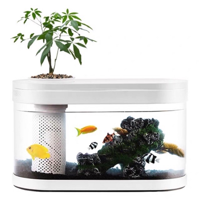 ถูกที่สุด️ Xiaomi fish tank 15 L 30 L adventureamphibious aquaponic ...