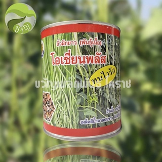 โอเชียน พลัส ถั่วเนื้อ(ทนโรคใบเหลือง)ใหม่❗️❗️❗️