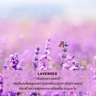 หัวน้ำหอม กลิ่นลาเวนเดอร์ (Lavender Fragrance oil) หัวน้ำหอมทำเทียน