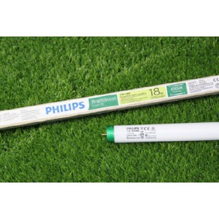 หลอดไฟฟลูออเรสเซนซ์ PHILPS (ขั้วเขียว)