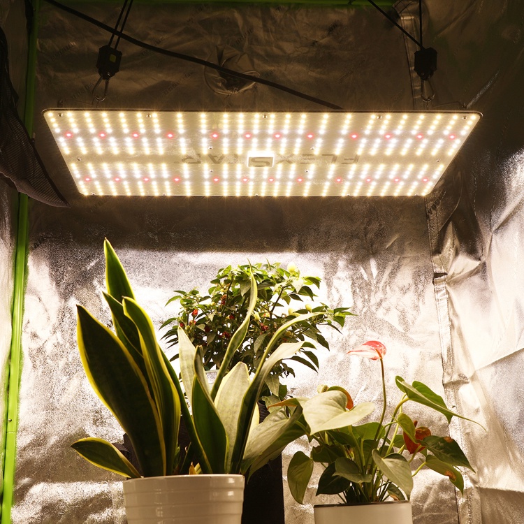 ไฟปลูกต้นไม้ FLEXSTAR 240W PB LED Grow Light ชิบ Samsung 301h