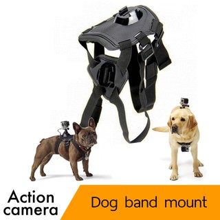 สายรัดตัวหมา Dog Fetch Hound Harness Chest Strap Belt Mount For actioncam