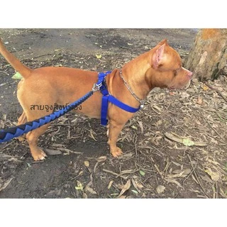 Singhthong สายจูงสุนัขใหญ่ สายจูงถัก เชือกจูงแบบถัก สายจูงหมาใหญ่ เหมาะกับสุนัขแรงเยอะ ตะขอแข็งแรง